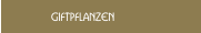 Giftpflanzen