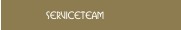 Serviceteam